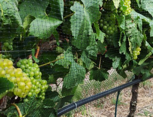 New Vinnet range now available for the 2026/2027 season